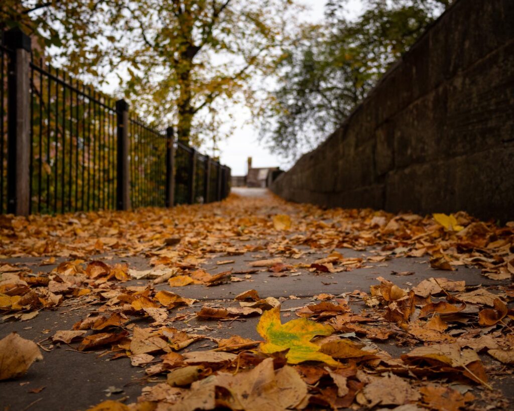 whatsapp image 2025 11 22 at 10.45.18