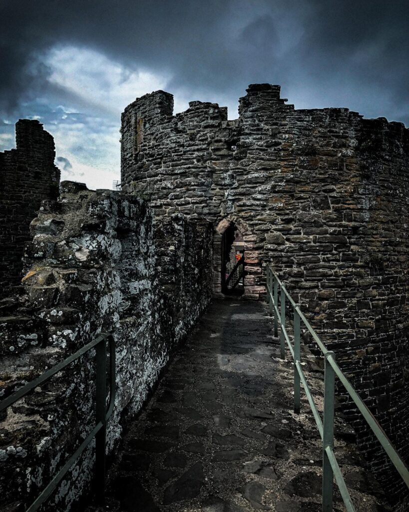 whatsapp image 2025 11 29 at 11.51.50