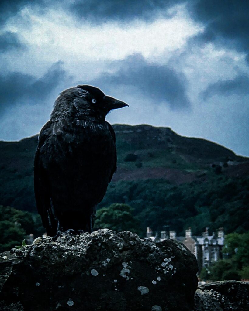 whatsapp image 2025 11 29 at 11.52.52