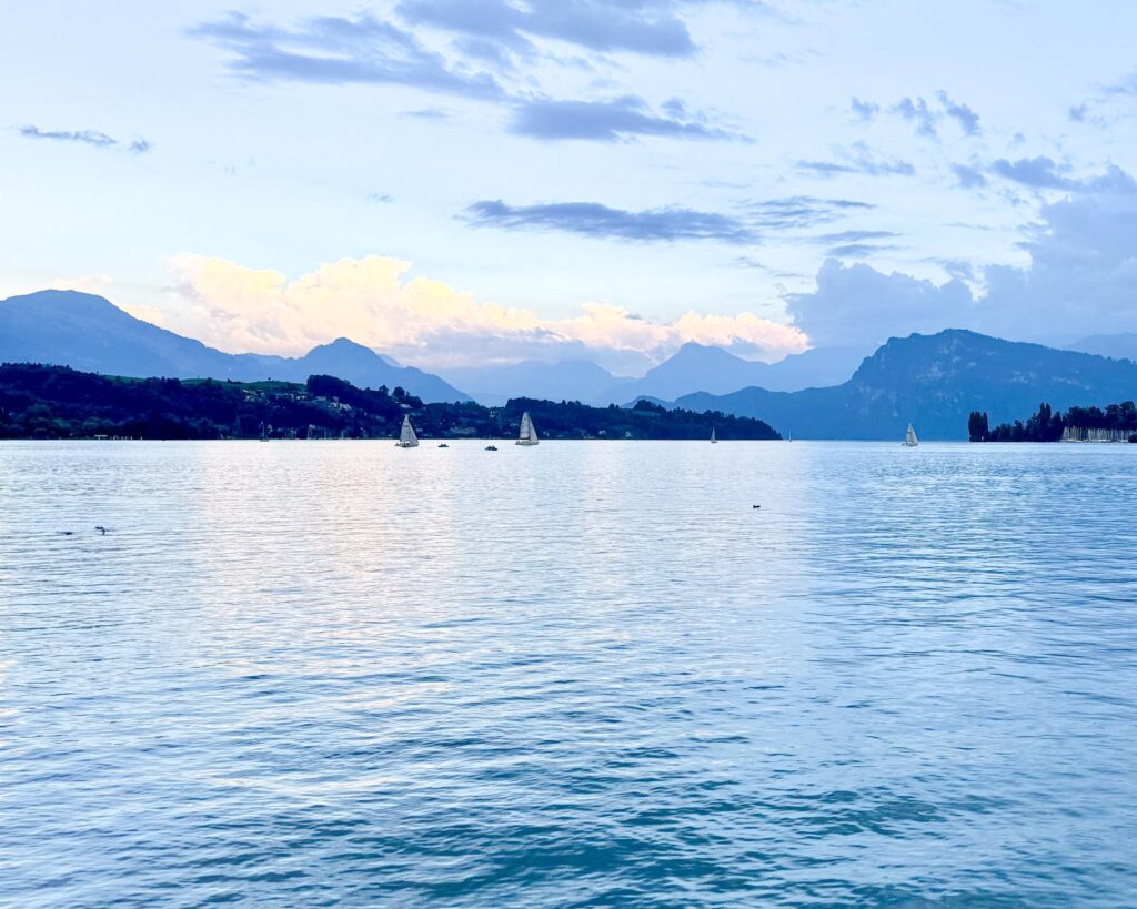 whatsapp image 2025 12 11 at 13.17.26