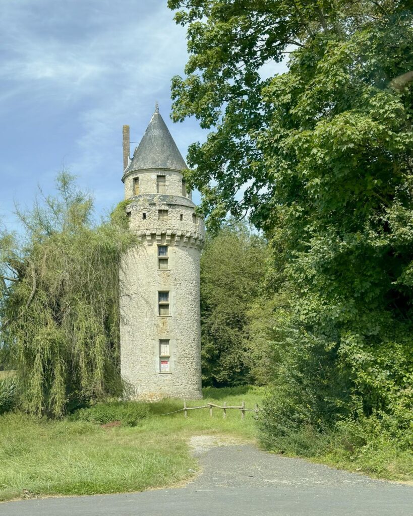 whatsapp image 2025 12 11 at 14.01.32