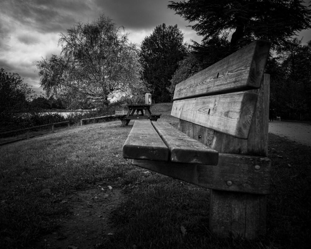 the bench, trentham gardens